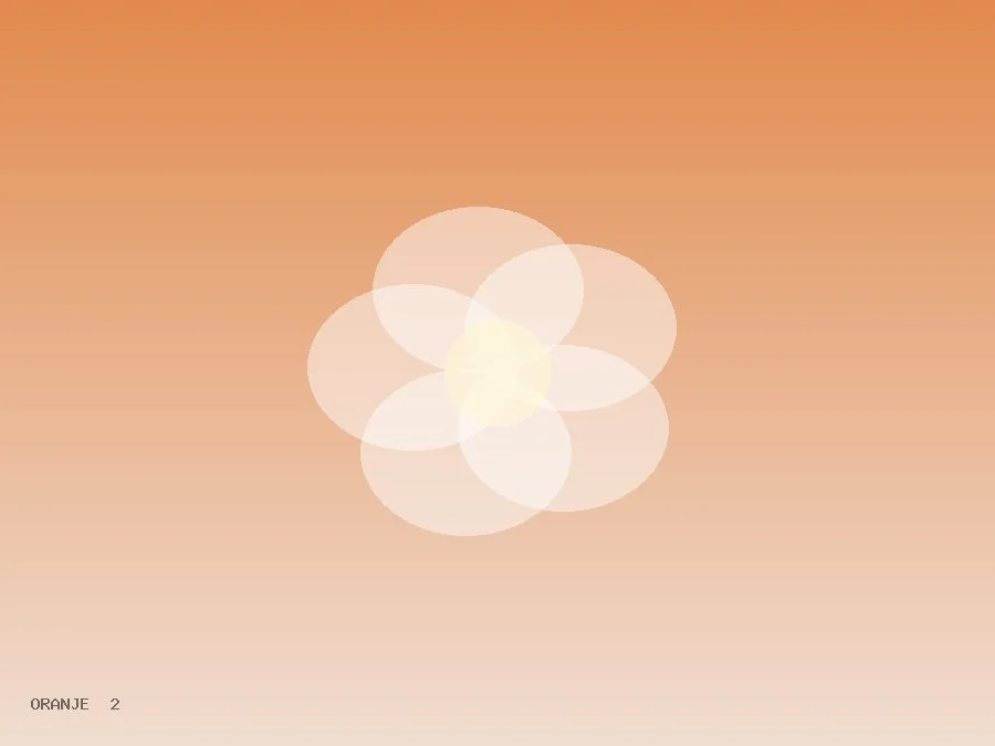Nocturne Blush Rosé